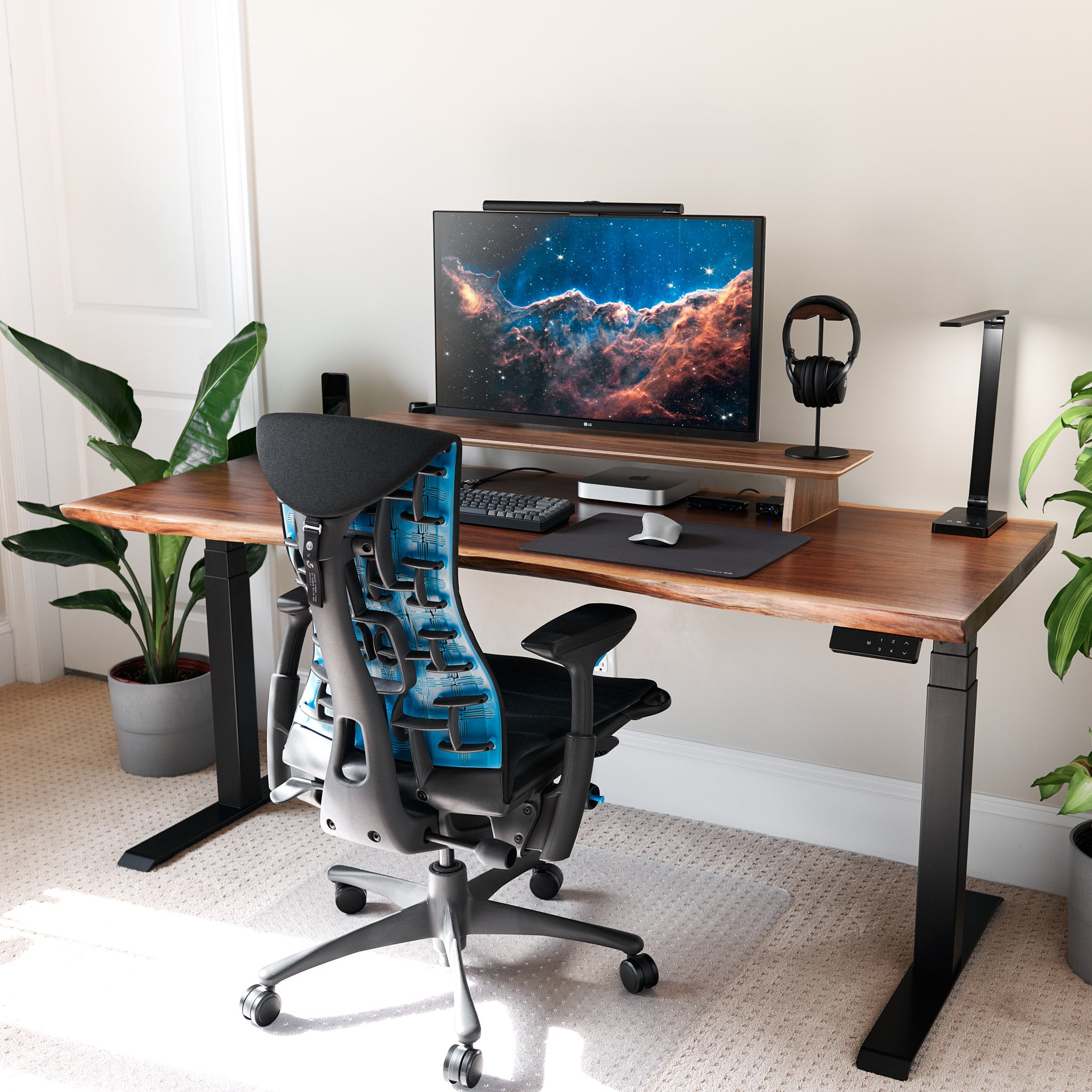 Experience the Beauty of Nature with Live Edge Standing Desk – Fortis ...